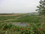 39108CIMG4816.gps.jpg