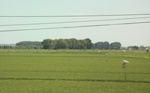 2024-08-05_14-07-06_2D82F06C-1FC1-40B2-B6EA-A93DFAAA4387_1_201_a.jpeg
