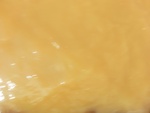 58105CIMG2399.JPG