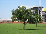 8731IMG_3898.JPG