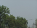 479401052008(65).JPG
