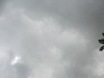 45528CIMG2613.JPG