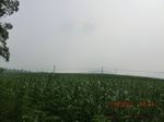 33113CIMG2348.JPG