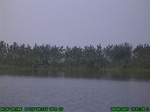 1404R0015151_tag.jpg