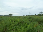 55107Berau (423).JPG