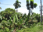 15500IMG_4570.JPG