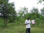 1179171-plantation-young-multipurpose-a.gif