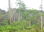 48591CIMG4928.JPG