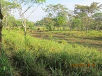 29964IMG_5379.JPG