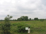 9819gt0119a-cropland-rainfed-supplemental.gif