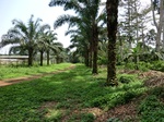 46464CIMG0753.JPG