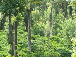 17537100_2798.JPG