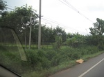 26715IMG_3514.JPG