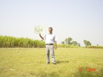 11304gt106-cropland-2.jpg