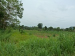 18453P1000289.JPG