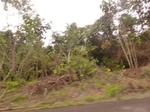 54842Berau (131).JPG