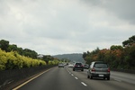 2024-11-21_16-48-24_2E43EAC6-36ED-4C64-9E71-EA4ED7AA0E20.jpeg
