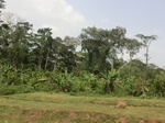 49735CIMG6072.JPG
