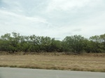 36054DSC02774.JPG