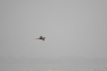 4221IMG_8859.JPG