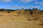 28718P1010736-1.JPG