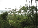 14641IMG_5022.JPG