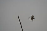 4206IMG_8844.JPG