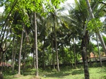 15606IMG_4677.JPG