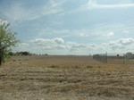 35539DSC02036.JPG