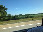 57924IMG_0887.JPG