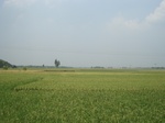 21849DSC08436.JPG