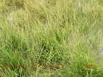 38931CIMG4834.gps.jpg