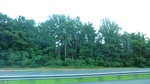 57259CIMG3069.JPG