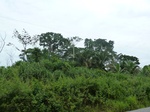 20083P1010934.JPG