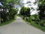 24524DSC00443.JPG