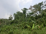 49811CIMG6148.JPG