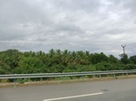 43358CIMG6413.JPG