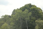 2024-10-10_17-12-21_D222A446-994D-48F9-BD4B-F5CF5601C2DF.jpeg