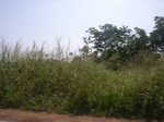 8964RIMG0039.JPG