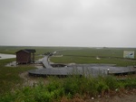 54507DSCN1789.JPG