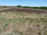 29246BUTL20110428N.JPG
