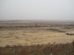 8509IMG_0334.JPG