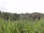 24875DSC01089.JPG