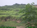 804R0015372_tag.jpg