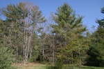 180IMG_4076.JPG