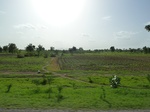 19352P1010198.JPG