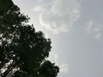 50574CIMG1203.JPG