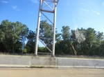 57049CIMG2347.JPG