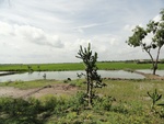26054DSC00475.JPG