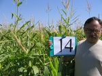 10174014-irrri-maize-sw-1b.jpg